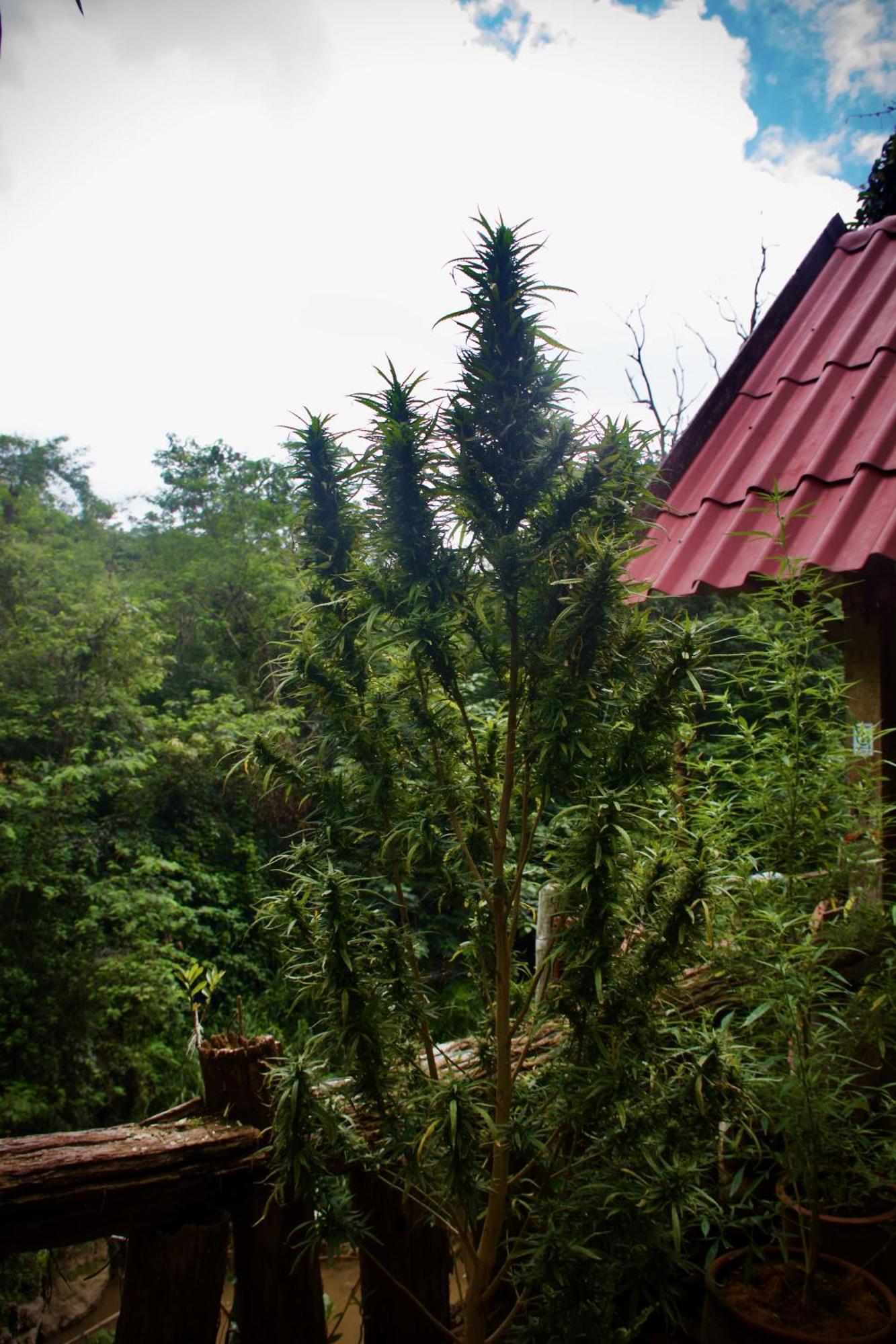 Aerie Lodge Pang Mapha Exterior photo