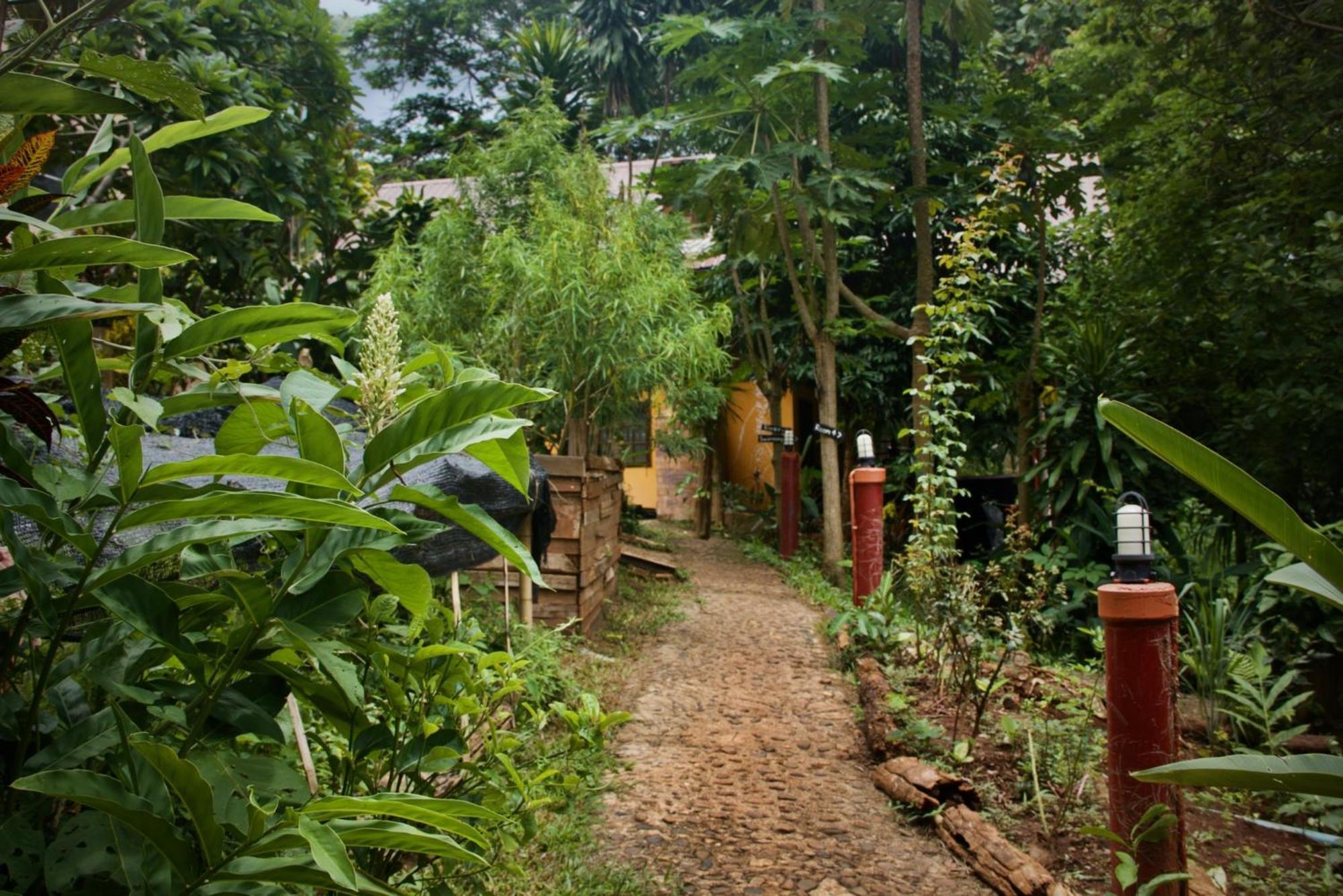 Aerie Lodge Pang Mapha Exterior photo