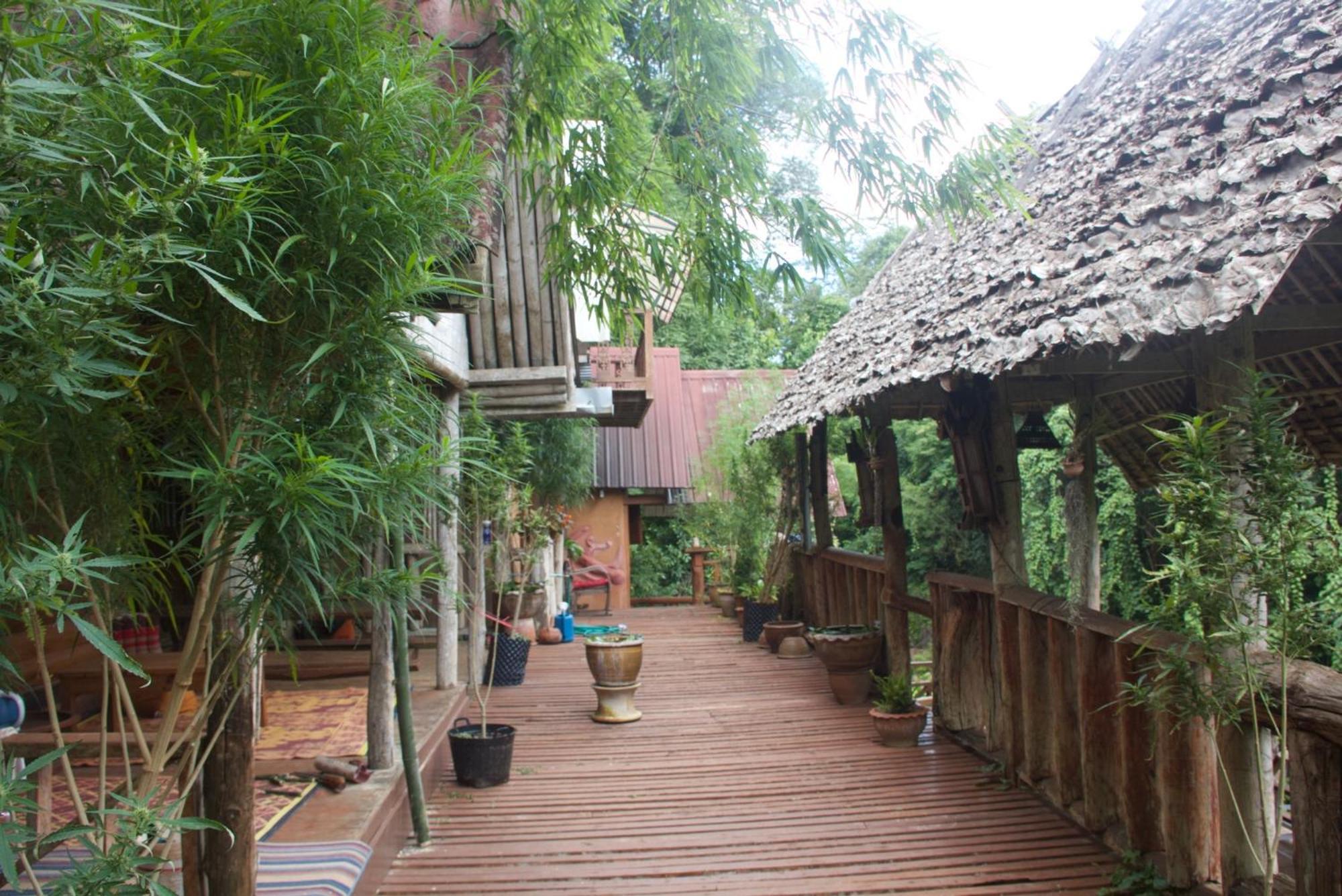Aerie Lodge Pang Mapha Exterior photo