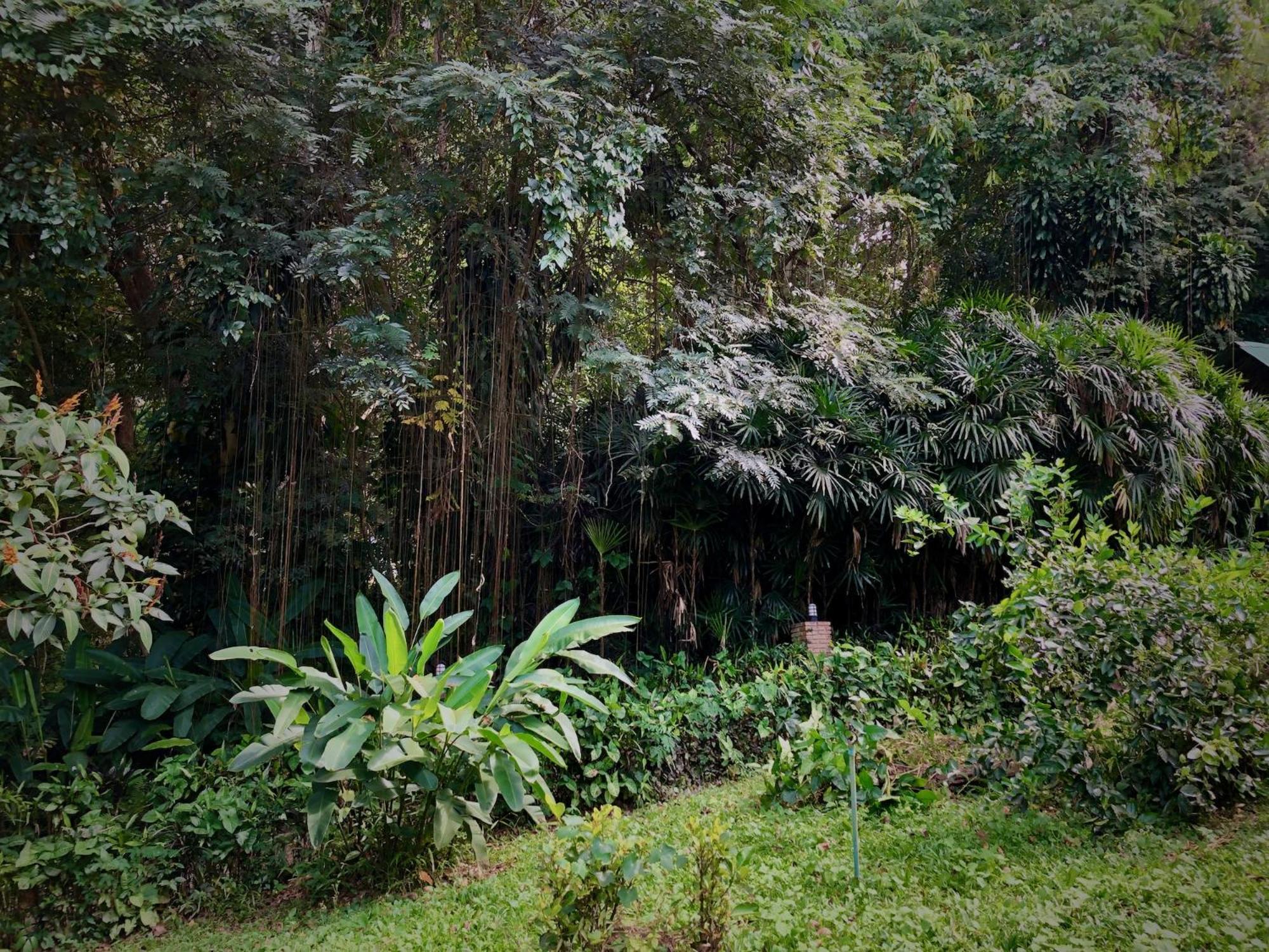 Aerie Lodge Pang Mapha Exterior photo